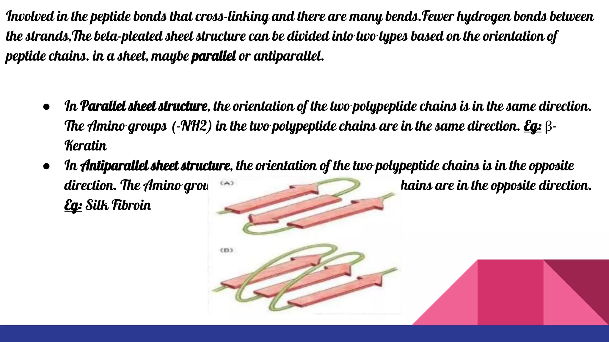 B PLEATED SHEET
Involved in the peptide bonds that cross-linking and there are many bends.Fewer hydrogen bonds between
the strands,The beta-pleated sheet structure can be divided into two types based on the orientation of
peptide chains. in a sheet, maybe parallel or antiparallel.
● In Parallel sheet structure, the orientation of the two polypeptide chains is in the same direction.
The Amino groups (-NH2) in the two polypeptide chains are in the same direction. Eg: β-
Keratin
● In Antiparallel sheet structure, the orientation of the two polypeptide chains is in the opposite
direction. The Amino groups (-NH2) in the two polypeptide chains are in the opposite direction.
Eg: Silk Fibroin
 