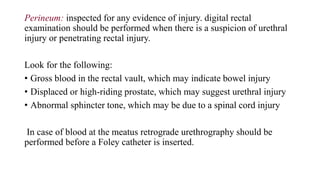 Perineum: inspected for any evidence of injury. digital rectal
examination should be performed when there is a suspicion of urethral
injury or penetrating rectal injury.
Look for the following:
• Gross blood in the rectal vault, which may indicate bowel injury
• Displaced or high-riding prostate, which may suggest urethral injury
• Abnormal sphincter tone, which may be due to a spinal cord injury
In case of blood at the meatus retrograde urethrography should be
performed before a Foley catheter is inserted.
 