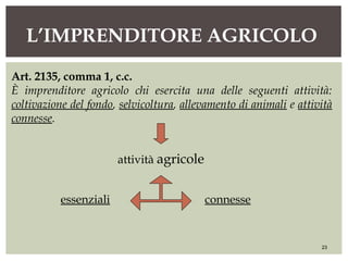 L’IMPRENDITORE AGRICOLO
23
Art. 2135, comma 1, c.c.
È imprenditore agricolo chi esercita una delle seguenti attività:
coltivazione del fondo, selvicoltura, allevamento di animali e attività
connesse.
essenziali connesse
attività agricole
 