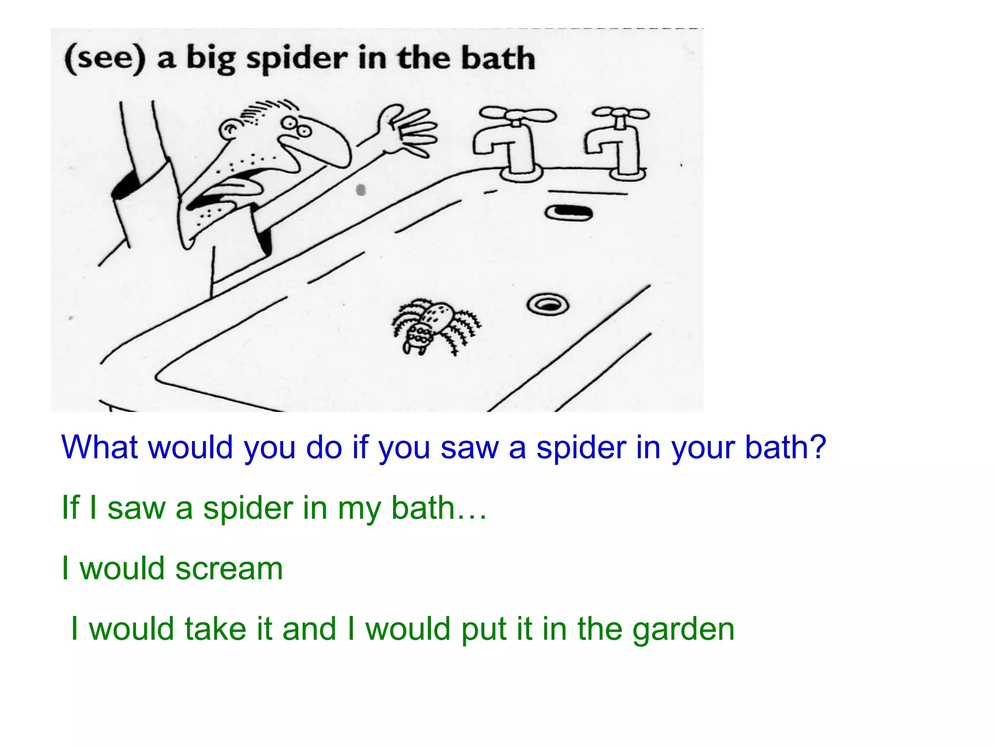 What would you do if you saw a spider in your bath? If I saw a spider in my bath… I would scream I would take it and I would put it in the garden 