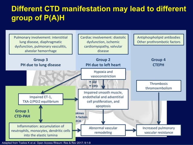 Current diagnosis and management of PAH from cardiologist point of view ...