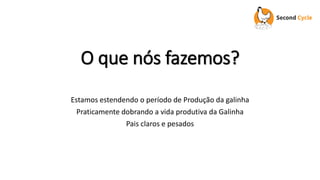 O que nós fazemos?
Estamos estendendo o período de Produção da galinha
Praticamente dobrando a vida produtiva da Galinha
P...