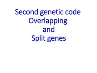 Second genetic code
Overlapping
and
Split genes
 