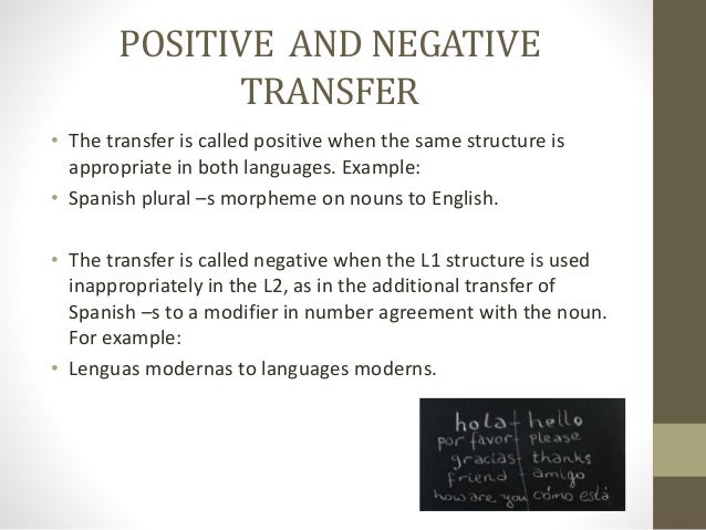 Online Essay Help Amazonia Fiocruz Br