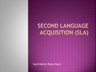 Syed Mohsin Raza Naqvi
 
