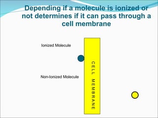 Depending if a molecule is ionized or not determines if it can pass through a cell membrane C E L L  M E M B R A N E Ionized Molecule Non-Ionized Molecule 