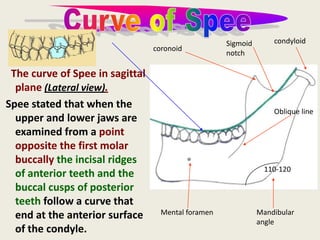 The curve of Spee in sagittal
plane (Lateral view).
Spee stated that when the
upper and lower jaws are
examined from a point
opposite the first molar
buccally the incisal ridges
of anterior teeth and the
buccal cusps of posterior
teeth follow a curve that
end at the anterior surface
of the condyle.
condyloid
coronoid
Sigmoid
notch
Oblique line
Mandibular
angle
Mental foramen
110-120
 