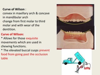 Curve of Wilson:
* Allows for those exquisite
movements which are used in
chewing functions.
* The elevated buccal cusps prevent
food from going past the occlusion
table
Curve of Wilson :
convex in maxillary arch & concave
in mandibular arch
change from first molar to third
molar and with wear of the
dentition.
 