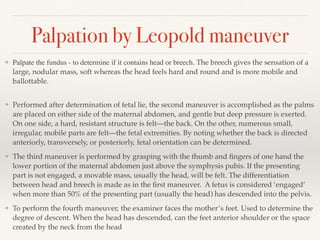 second lecture in obstetricsssssssssssssss | PDF | Pregnancy ...