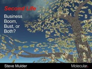 Second Life Steve Mulder Business Boom, Bust, or Both? 