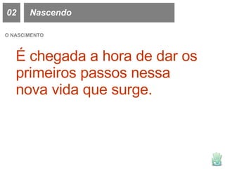 02 Nascendo O NASCIMENTO É chegada a hora de dar os primeiros passos nessa nova vida que surge. 