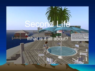 Second Life
What is it all about?
 