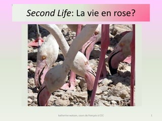 Second Life: La vie en rose? 1 katherine watson, cours de français à CCC 