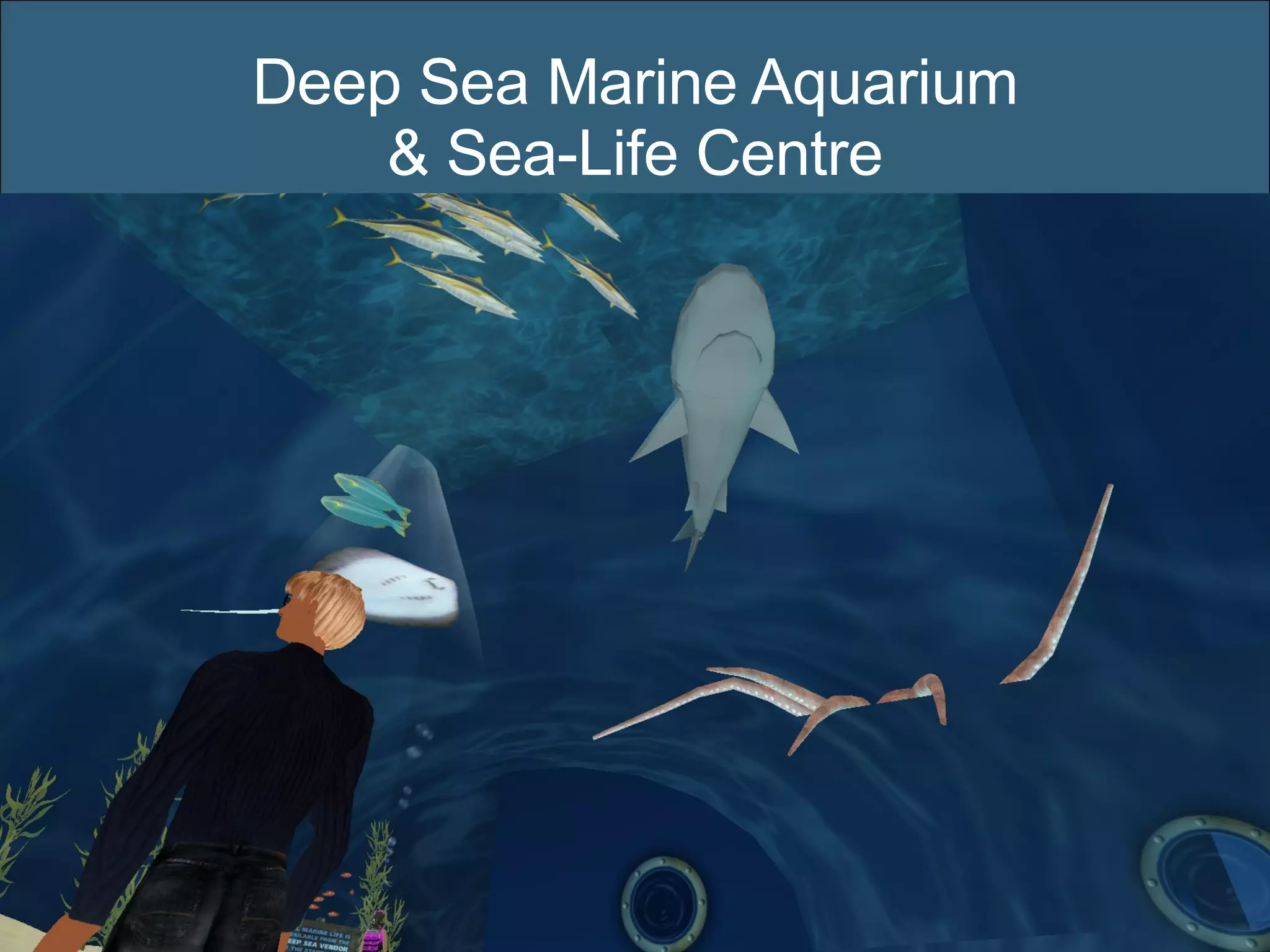 Deep Sea Marine Aquarium & Sea-Life Centre 