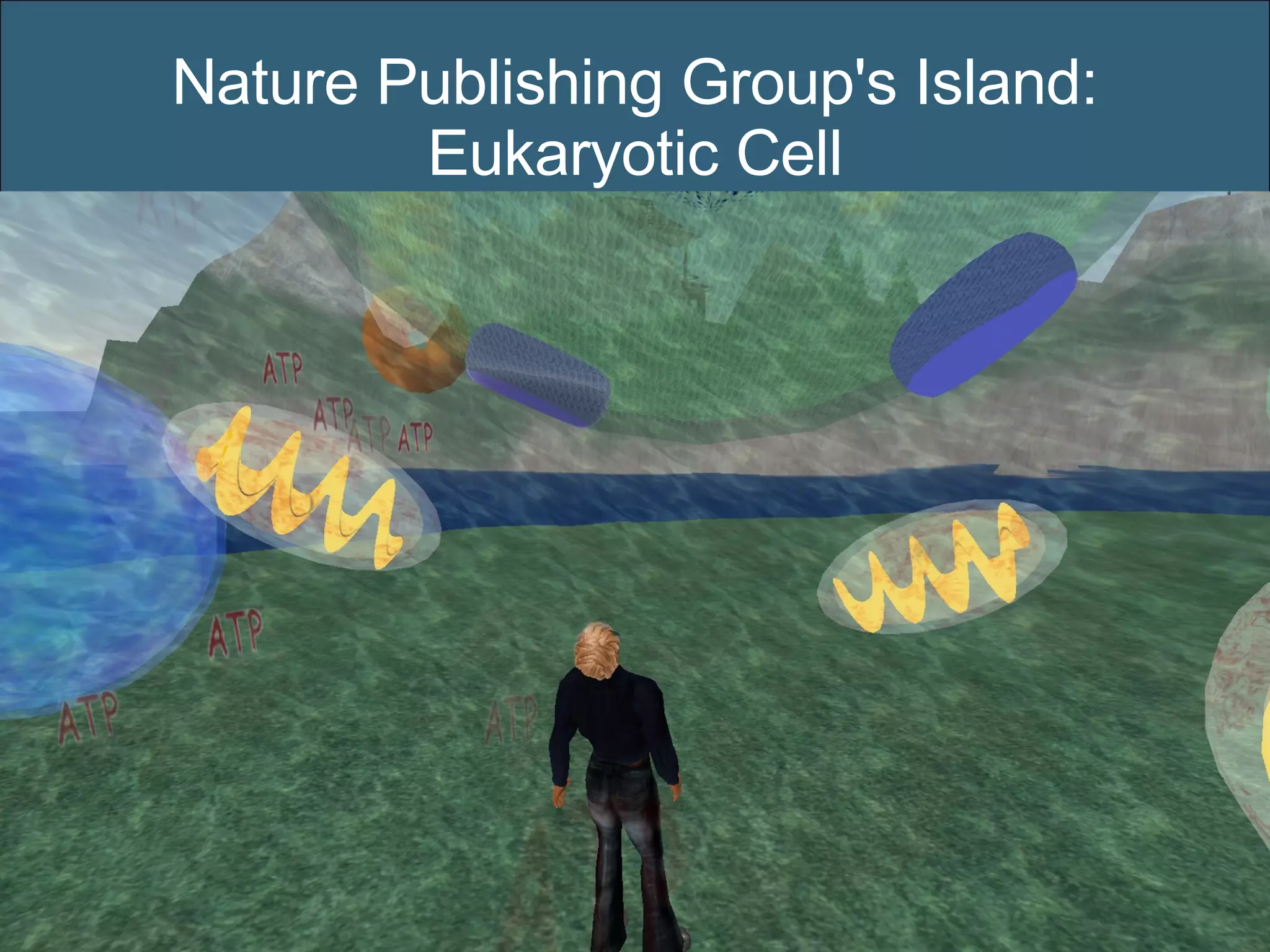 Nature Publishing Group's Island: Eukaryotic Cell 