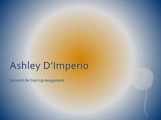 Second life start up assignment | PPTX