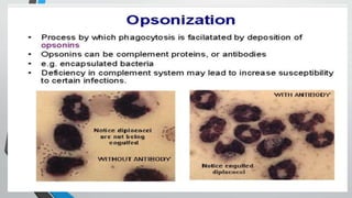 Second line of defense