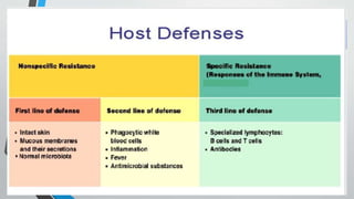 Second line of defense