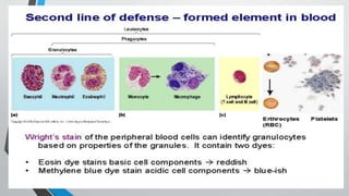 Second line of defense