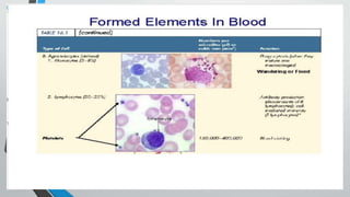 Second line of defense