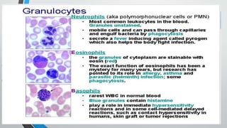 Second line of defense