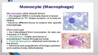 Second line of defense