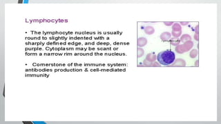 Second line of defense