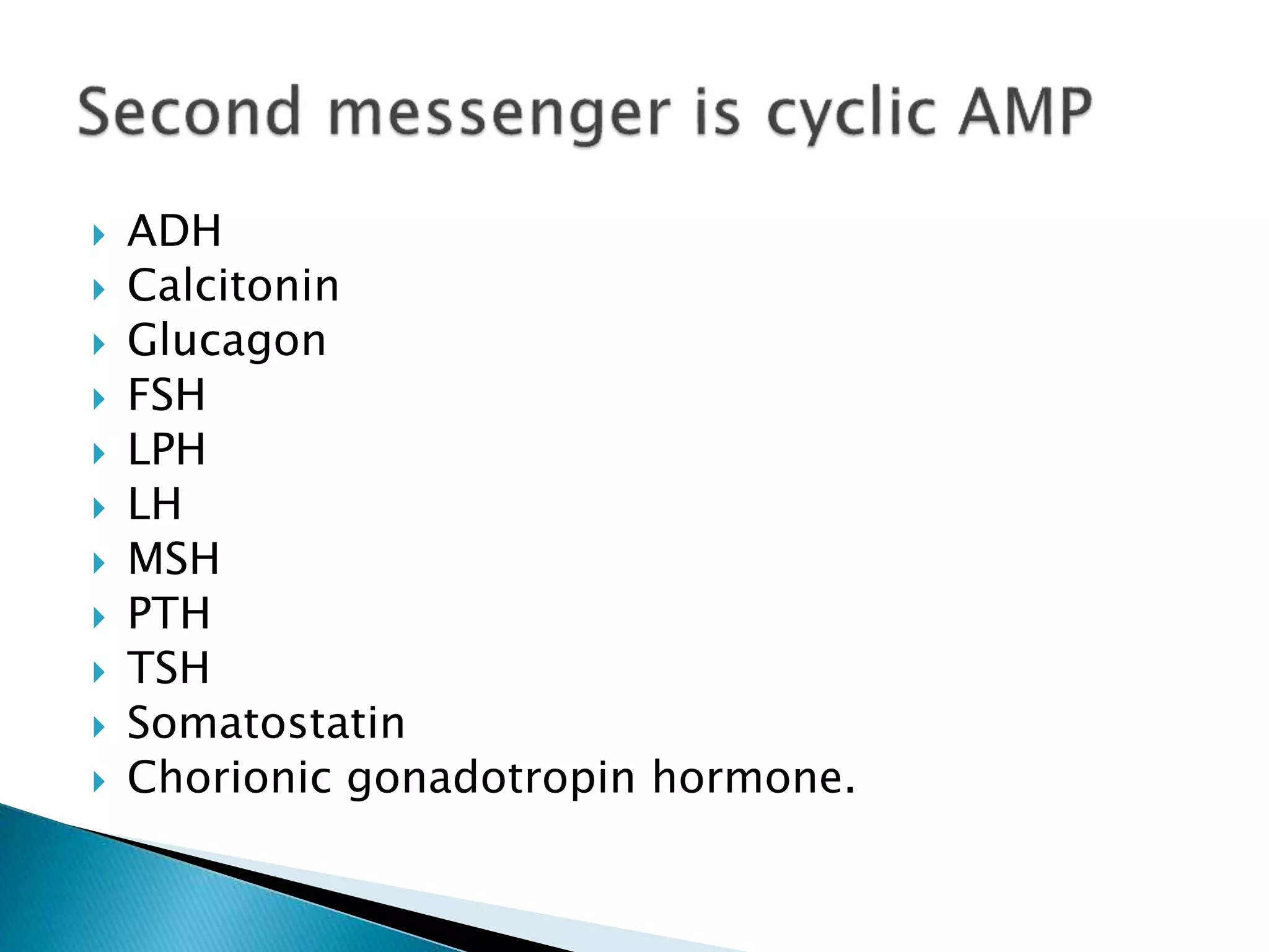  ADH
 Calcitonin
 Glucagon
 FSH
 LPH
 LH
 MSH
 PTH
 TSH
 Somatostatin
 Chorionic gonadotropin hormone.
 