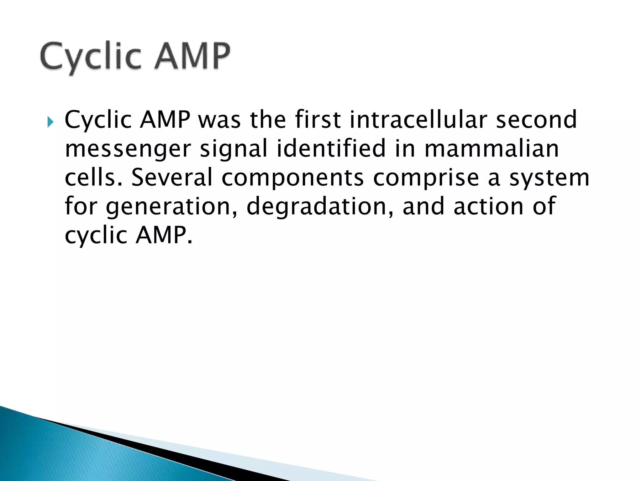  Cyclic AMP was the first intracellular second
messenger signal identified in mammalian
cells. Several components comprise a system
for generation, degradation, and action of
cyclic AMP.
 