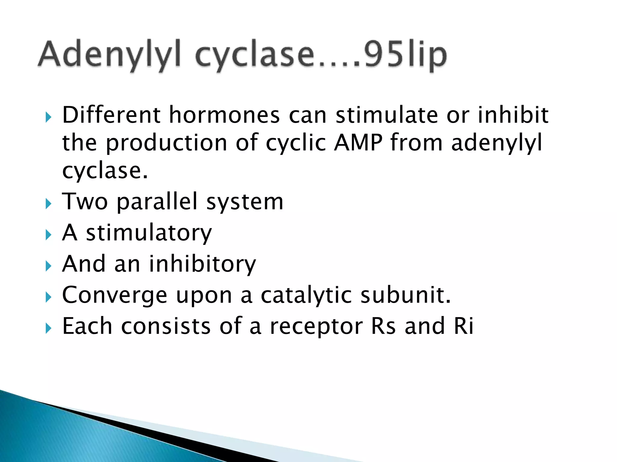  Different hormones can stimulate or inhibit
the production of cyclic AMP from adenylyl
cyclase.
 Two parallel system
 A stimulatory
 And an inhibitory
 Converge upon a catalytic subunit.
 Each consists of a receptor Rs and Ri
 