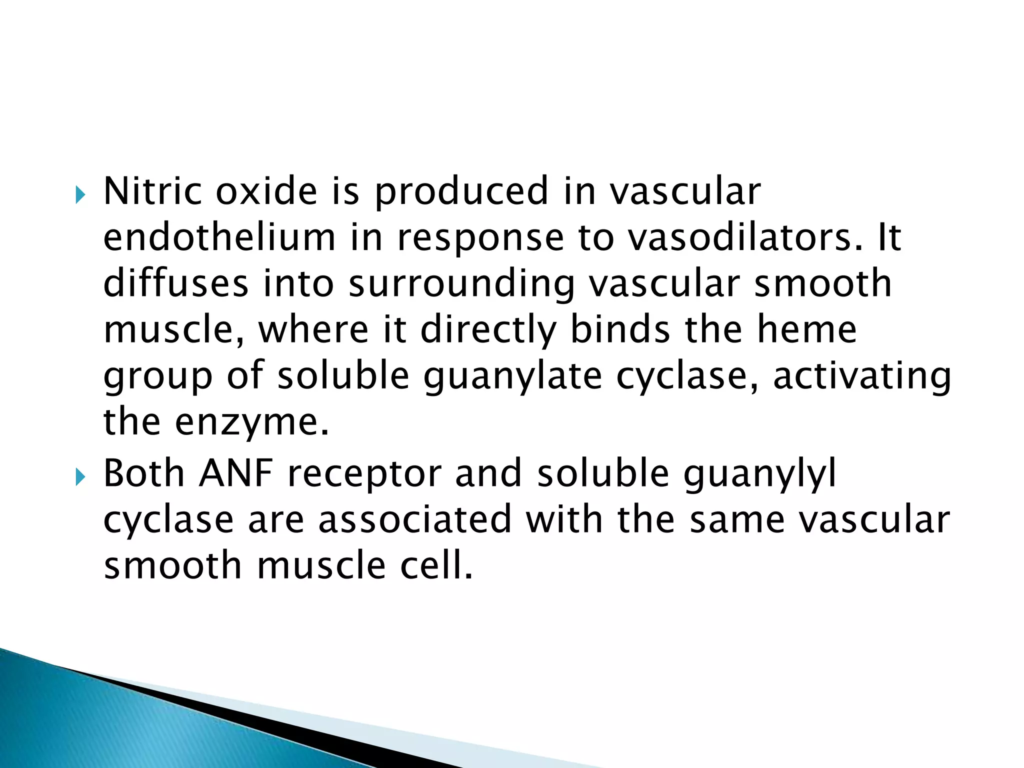  Nitric oxide is produced in vascular
endothelium in response to vasodilators. It
diffuses into surrounding vascular smooth
muscle, where it directly binds the heme
group of soluble guanylate cyclase, activating
the enzyme.
 Both ANF receptor and soluble guanylyl
cyclase are associated with the same vascular
smooth muscle cell.
 