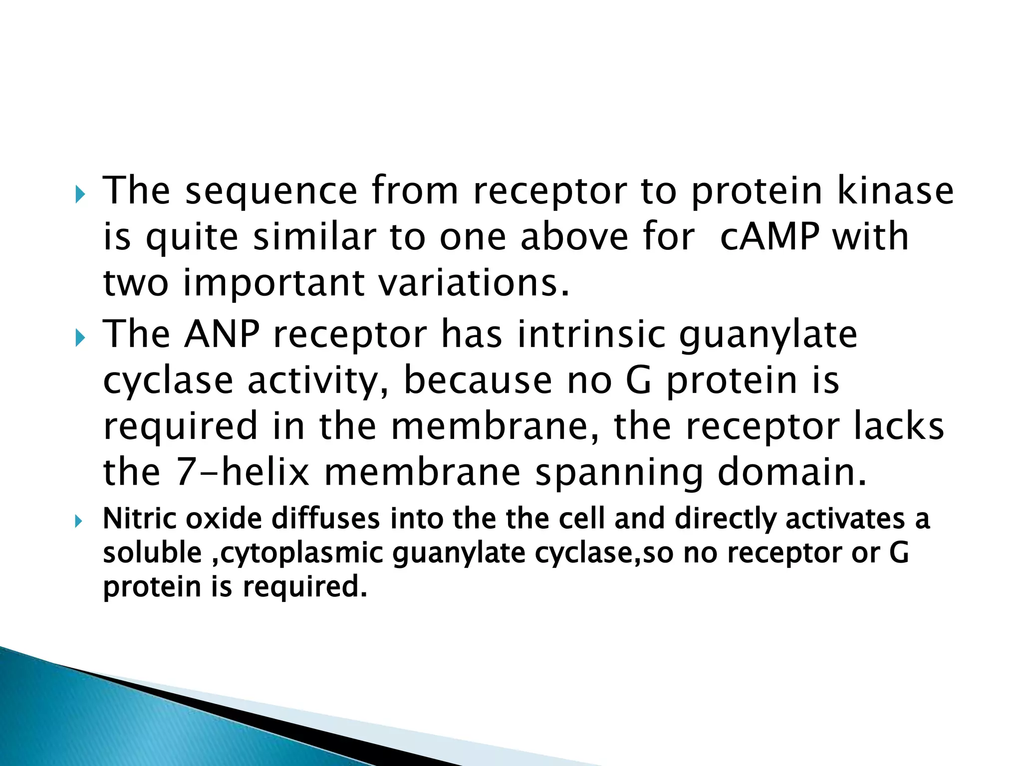  The sequence from receptor to protein kinase
is quite similar to one above for cAMP with
two important variations.
 The ANP receptor has intrinsic guanylate
cyclase activity, because no G protein is
required in the membrane, the receptor lacks
the 7-helix membrane spanning domain.
 Nitric oxide diffuses into the the cell and directly activates a
soluble ,cytoplasmic guanylate cyclase,so no receptor or G
protein is required.
 