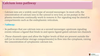 Second messenger and signal transduction pathways | PPTX