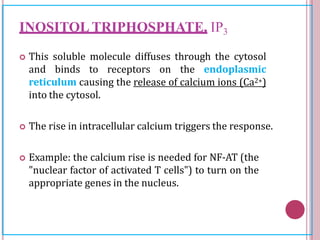 INOSITOL TRIPHOSPHATE, IP3
 This soluble molecule diffuses through the cytosol
and binds to receptors on the endoplasmic
reticulum causing the release of calcium ions (Ca2+)
into the cytosol.
 The rise in intracellular calcium triggers the response.
 Example: the calcium rise is needed for NF-AT (the
"nuclear factor of activated T cells") to turn on the
appropriate genes in the nucleus.
 