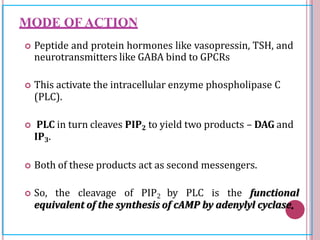 MODE OF ACTION
 Peptide and protein hormones like vasopressin, TSH, and
neurotransmitters like GABA bind to GPCRs
 This activate the intracellular enzyme phospholipase C
(PLC).
 PLC in turn cleaves PIP2 to yield two products – DAG and
IP3.
 Both of these products act as second messengers.
 So, the cleavage of PIP2 by PLC is the functional
equivalent of the synthesis of cAMP by adenylyl cyclase.
 
