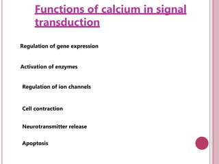 Functions of calcium in signal
transduction
Regulation of gene expression
Activation of enzymes
Regulation of ion channels
Cell contraction
Neurotransmitter release
Apoptosis
 