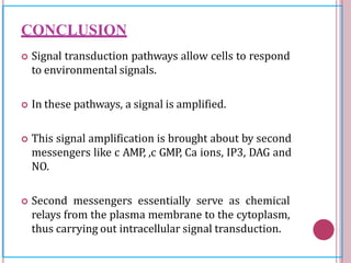 CONCLUSION
 Signal transduction pathways allow cells to respond
to environmental signals.
 In these pathways, a signal is amplified.
 This signal amplification is brought about by second
messengers like c AMP, ,c GMP, Ca ions, IP3, DAG and
NO.
 Second messengers essentially serve as chemical
relays from the plasma membrane to the cytoplasm,
thus carrying out intracellular signal transduction.
 