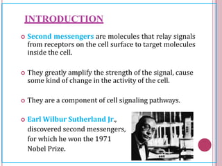 INTRODUCTION
 Second messengers are molecules that relay signals
from receptors on the cell surface to target molecules
inside the cell.
 They greatly amplify the strength of the signal, cause
some kind of change in the activity of the cell.
 They are a component of cell signaling pathways.
 Earl Wilbur Sutherland Jr.,
discovered second messengers,
for which he won the 1971
Nobel Prize.
 