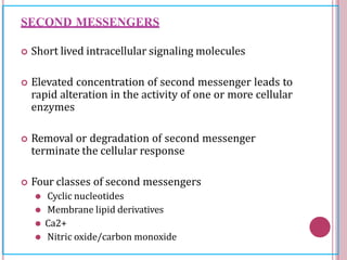 SECOND MESSENGERS
 Short lived intracellular signaling molecules
 Elevated concentration of second messenger leads to
rapid alteration in the activity of one or more cellular
enzymes
 Removal or degradation of second messenger
terminate the cellular response
 Four classes of second messengers
⚫ Cyclic nucleotides
⚫ Membrane lipid derivatives
⚫ Ca2+
⚫ Nitric oxide/carbon monoxide
 