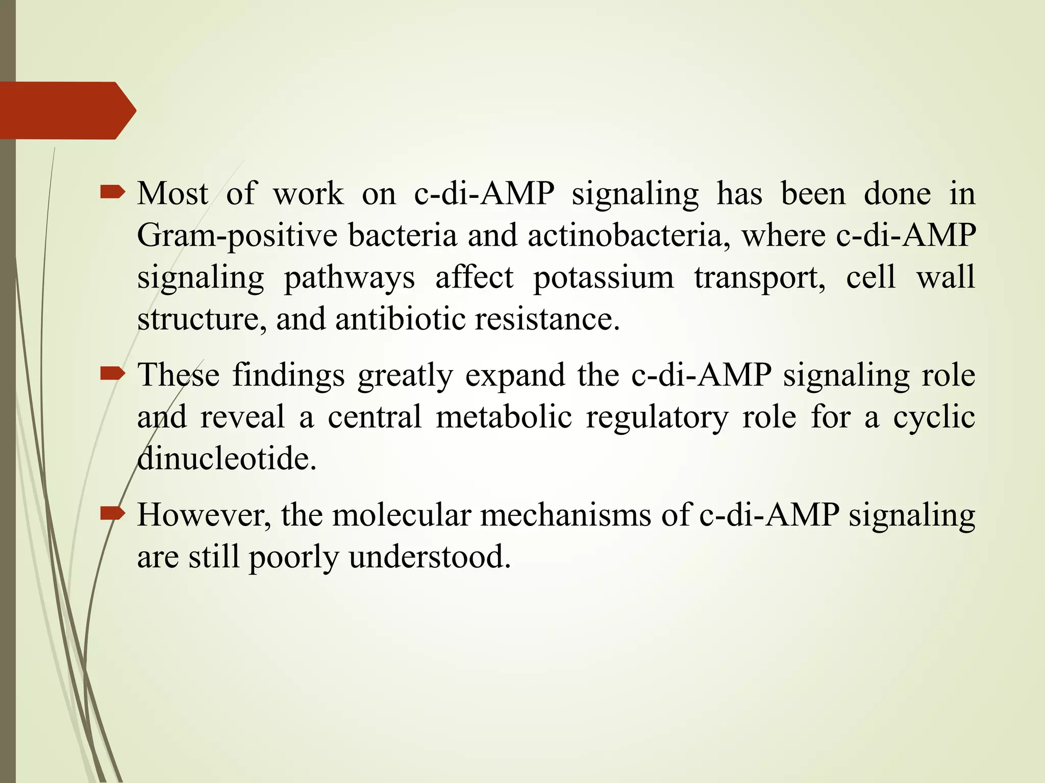  Most of work on c-di-AMP signaling has been done in
Gram-positive bacteria and actinobacteria, where c-di-AMP
signaling pathways affect potassium transport, cell wall
structure, and antibiotic resistance.
 These findings greatly expand the c-di-AMP signaling role
and reveal a central metabolic regulatory role for a cyclic
dinucleotide.
 However, the molecular mechanisms of c-di-AMP signaling
are still poorly understood.
 
