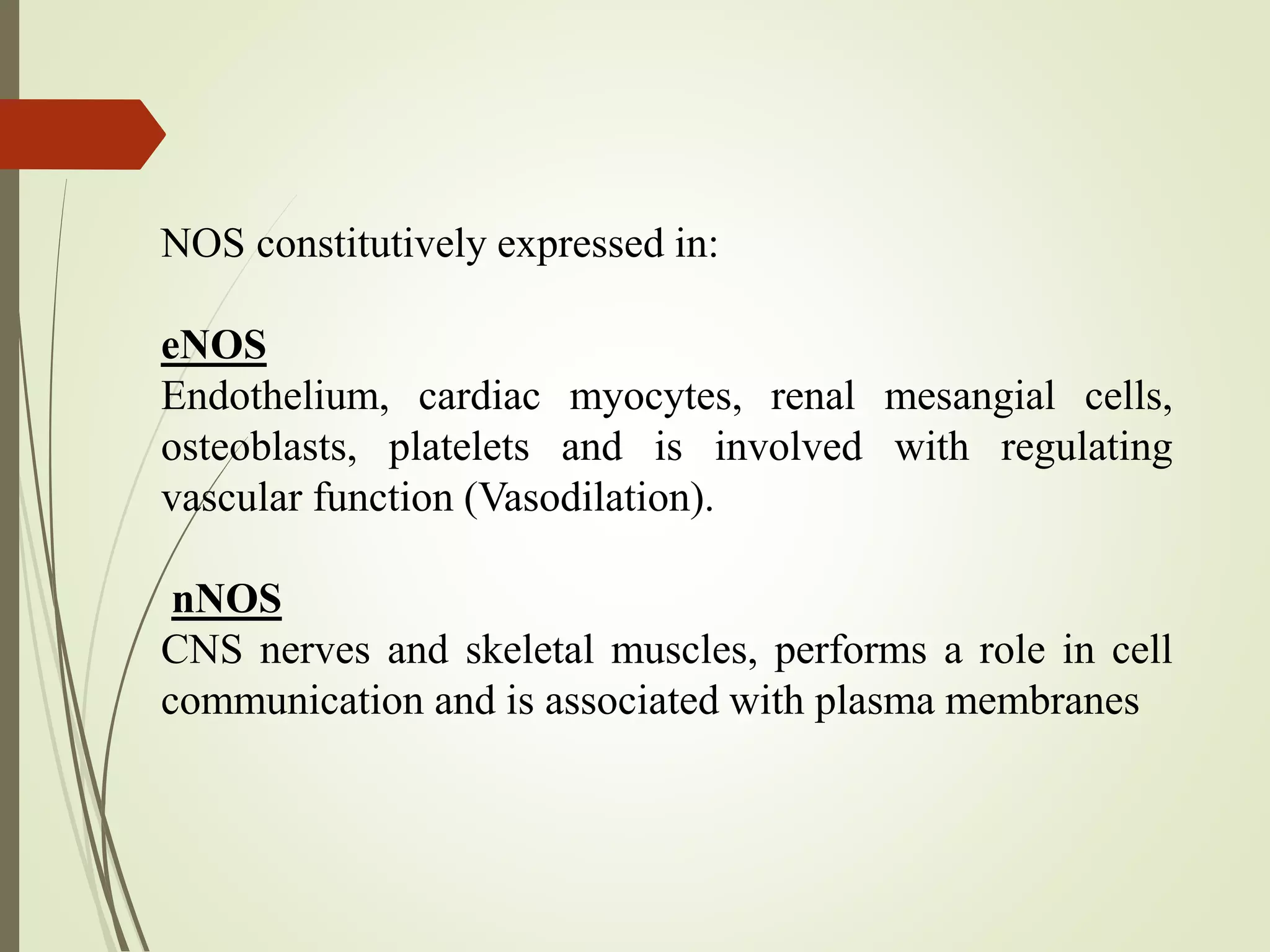 NOS constitutively expressed in:
eNOS
Endothelium, cardiac myocytes, renal mesangial cells,
osteoblasts, platelets and is involved with regulating
vascular function (Vasodilation).
nNOS
CNS nerves and skeletal muscles, performs a role in cell
communication and is associated with plasma membranes
 