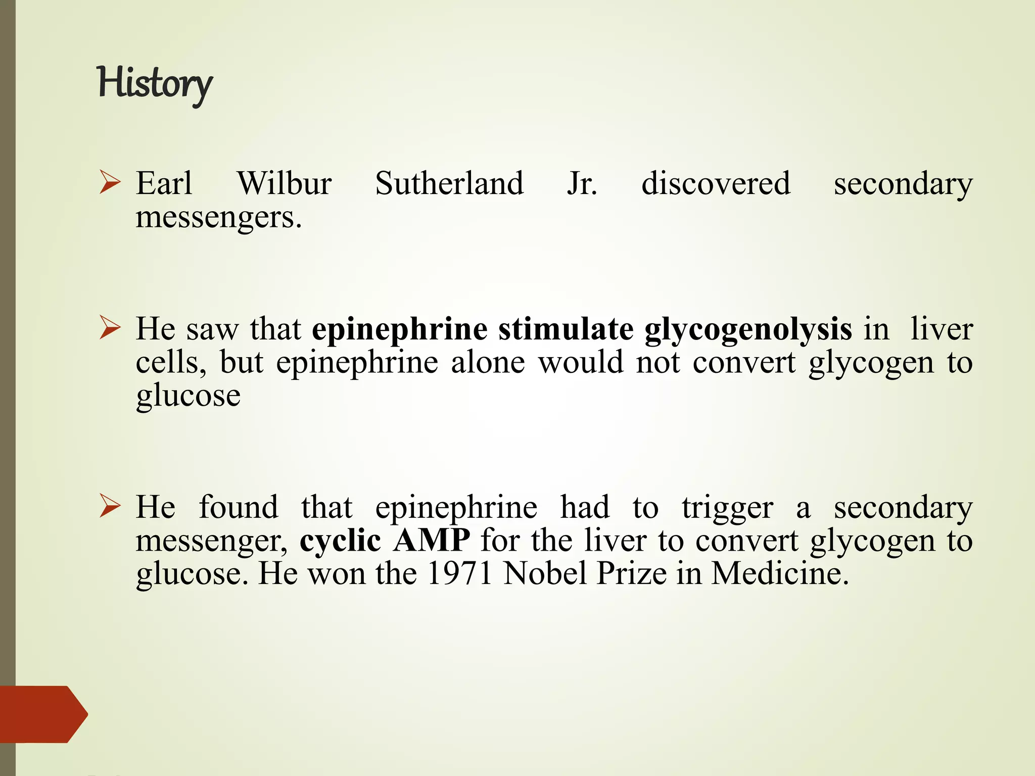 History
 Earl Wilbur Sutherland Jr. discovered secondary
messengers.
 He saw that epinephrine stimulate glycogenolysis in liver
cells, but epinephrine alone would not convert glycogen to
glucose
 He found that epinephrine had to trigger a secondary
messenger, cyclic AMP for the liver to convert glycogen to
glucose. He won the 1971 Nobel Prize in Medicine.
 