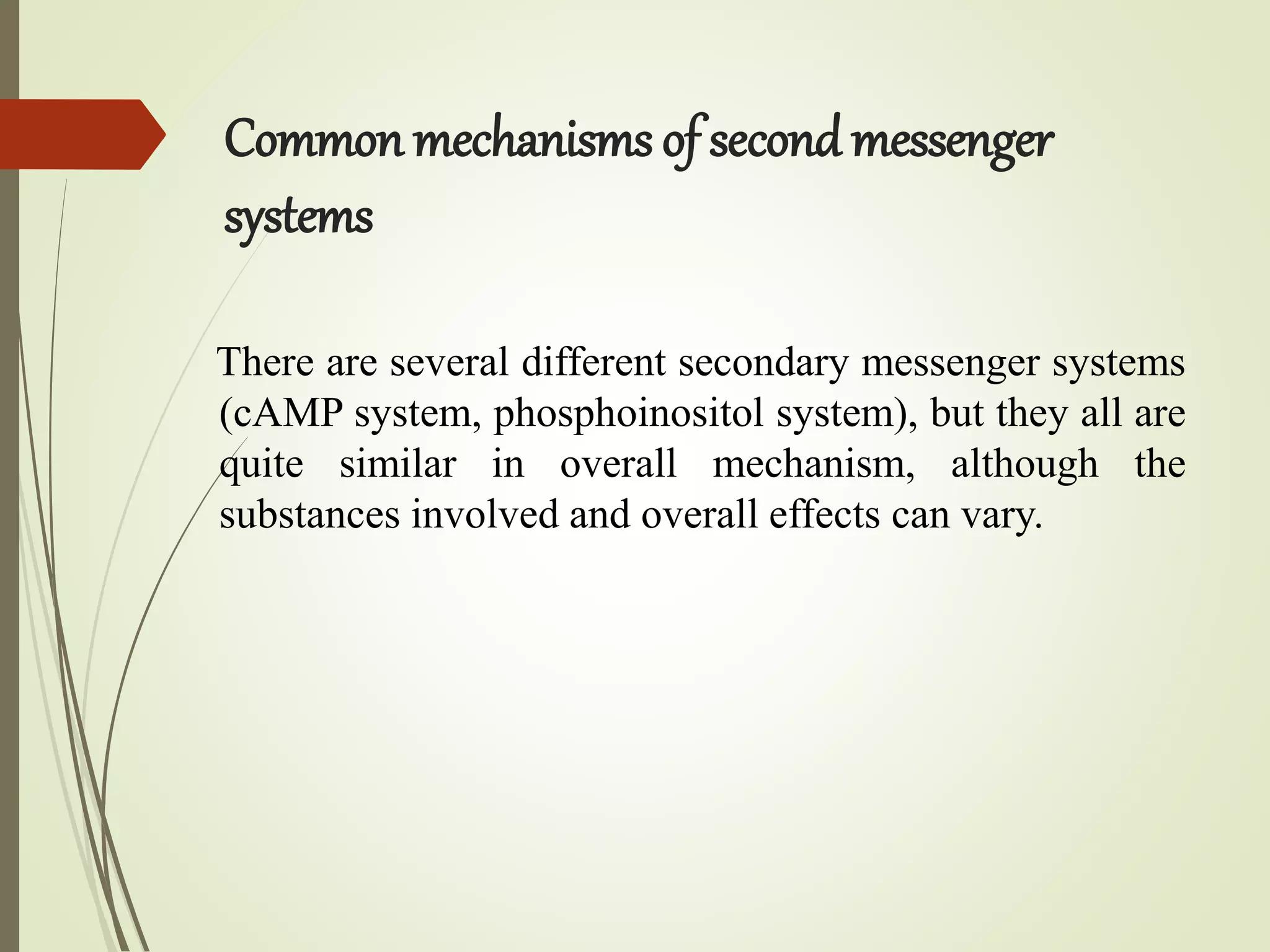 Common mechanisms of second messenger
systems
There are several different secondary messenger systems
(cAMP system, phosphoinositol system), but they all are
quite similar in overall mechanism, although the
substances involved and overall effects can vary.
 