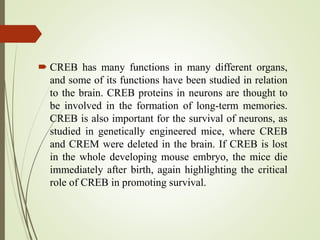  CREB has many functions in many different organs,
and some of its functions have been studied in relation
to the brain. CREB proteins in neurons are thought to
be involved in the formation of long-term memories.
CREB is also important for the survival of neurons, as
studied in genetically engineered mice, where CREB
and CREM were deleted in the brain. If CREB is lost
in the whole developing mouse embryo, the mice die
immediately after birth, again highlighting the critical
role of CREB in promoting survival.
 