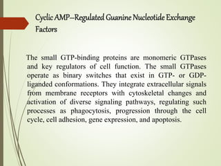 Cyclic AMP–Regulated Guanine Nucleotide Exchange
Factors
The small GTP-binding proteins are monomeric GTPases
and key regulators of cell function. The small GTPases
operate as binary switches that exist in GTP- or GDP-
liganded conformations. They integrate extracellular signals
from membrane receptors with cytoskeletal changes and
activation of diverse signaling pathways, regulating such
processes as phagocytosis, progression through the cell
cycle, cell adhesion, gene expression, and apoptosis.
 