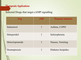 TherapeuticApplications
Selected Drugs that target cAMP signalling
Drug cAMP Therapeutic Application
Salmeterol ↑ Asthma, COPD
Haloperidol ↑ Schizophrenia
Metoclopramide ↑ Nausea, Vomiting
Desmopressin ↑ Diabetes Insipidus
 