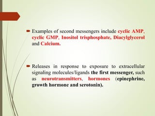  Examples of second messengers include cyclic AMP,
cyclic GMP, Inositol trisphosphate, Diacylglycerol
and Calcium.
 Releases in response to exposure to extracellular
signaling molecules/ligands the first messenger, such
as neurotransmitters, hormones (epinephrine,
growth hormone and serotonin).
 