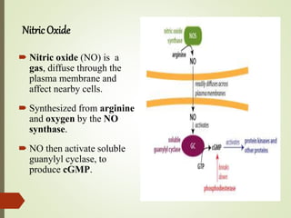  Nitric oxide (NO) is a
gas, diffuse through the
plasma membrane and
affect nearby cells.
 Synthesized from arginine
and oxygen by the NO
synthase.
 NO then activate soluble
guanylyl cyclase, to
produce cGMP.
Nitric Oxide
 