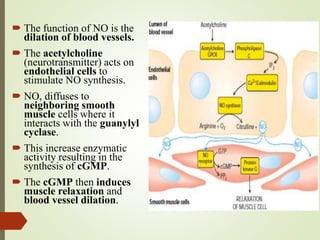  The function of NO is the
dilation of blood vessels.
 The acetylcholine
(neurotransmitter) acts on
endothelial cells to
stimulate NO synthesis.
 NO, diffuses to
neighboring smooth
muscle cells where it
interacts with the guanylyl
cyclase.
 This increase enzymatic
activity resulting in the
synthesis of cGMP.
 The cGMP then induces
muscle relaxation and
blood vessel dilation.
 
