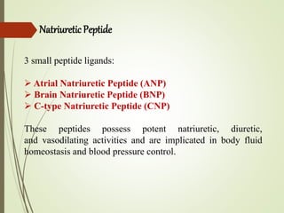Natriuretic Peptide
3 small peptide ligands:
 Atrial Natriuretic Peptide (ANP)
 Brain Natriuretic Peptide (BNP)
 C-type Natriuretic Peptide (CNP)
These peptides possess potent natriuretic, diuretic,
and vasodilating activities and are implicated in body fluid
homeostasis and blood pressure control.
 